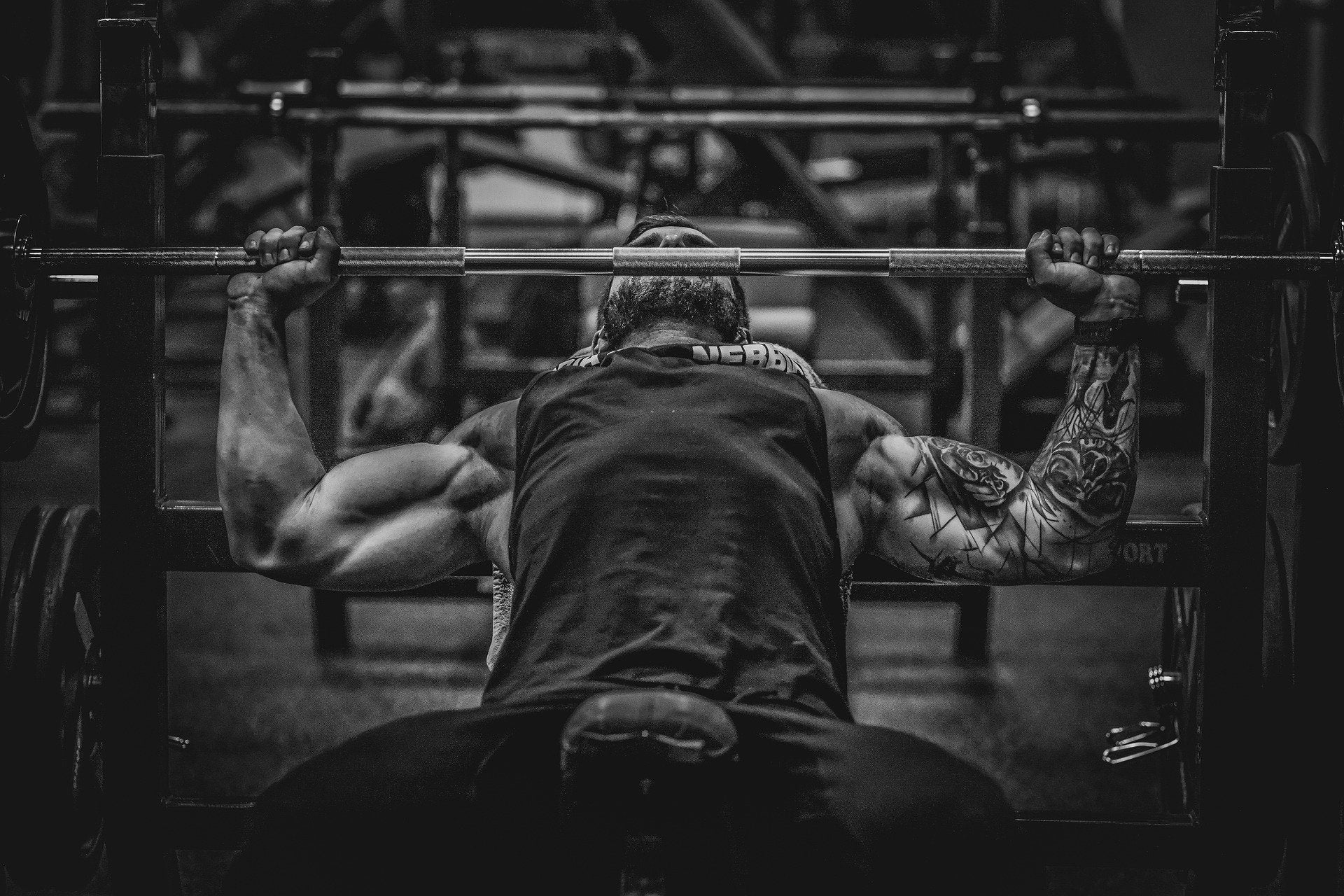 Richtiges Training: Die passenden Übungen, Trainer und Ergänzungen für optimale Ergebnisse